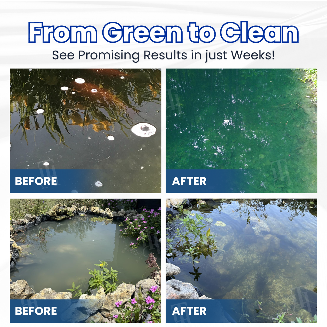 ✨ From Green to Clean Overnight! |⏱️ Crystal Clear in 24 Hours! | AEXZR® Aqua-Guardian ro Formula